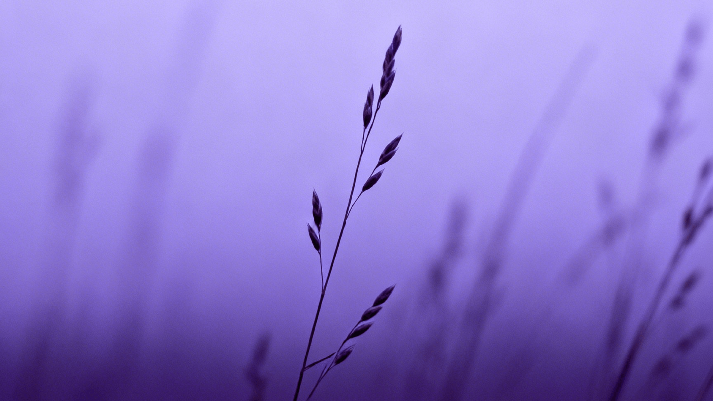 defining serene